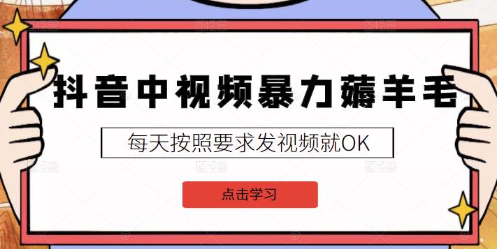 2022抖音中视频暴力薅羊毛白嫖项目：新号每天20块，老号几天几百块，可多号￼-资源宝库