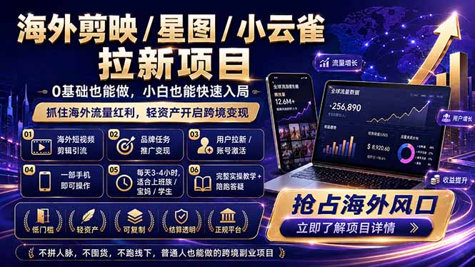 海外剪映 / 星图 / 小云雀拉新项目 普通人也能上手的跨境流量变现副业-资源宝库
