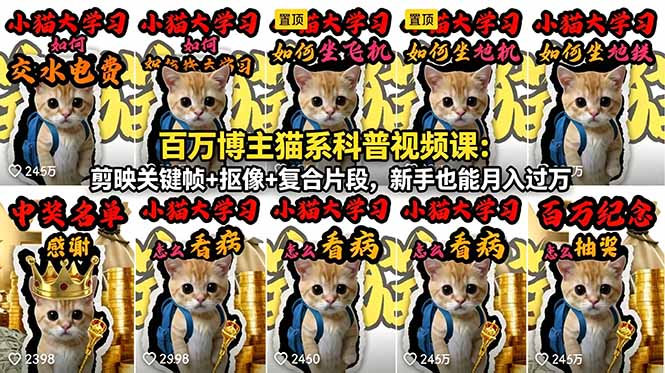 百万博主猫系科普视频课:剪映关键帧+抠像+复合片段,新手也能月入过万-资源宝库