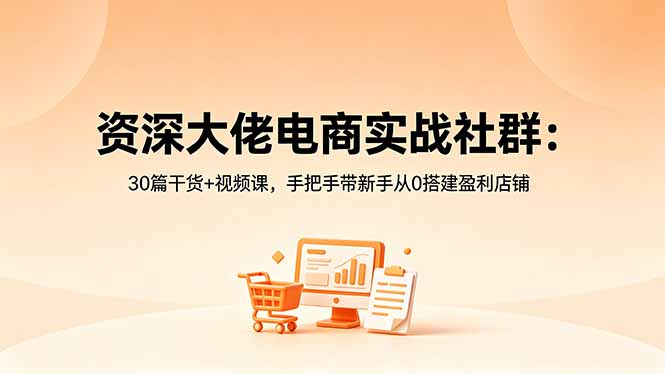 资深大佬电商实战社群：30篇干货+视频课，手把手带新手从0搭建盈利店铺-资源宝库