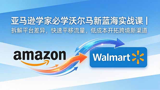 亚马逊卖家必学沃尔玛新蓝海实战课｜拆解平台差异，快速平移流量，低成本开拓跨境新渠道-资源宝库