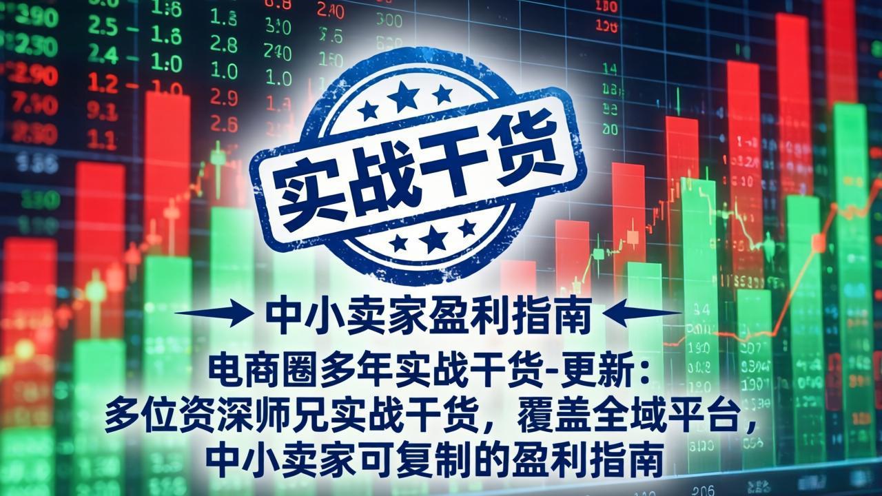 电商圈多年实战干货-更新5月20：多位资深师兄实战干货/覆盖全域平台，中小卖家可复制的盈利指南-资源宝库