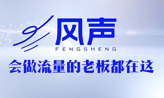 董十一·风声短视频AI获客年度会员-资源宝库