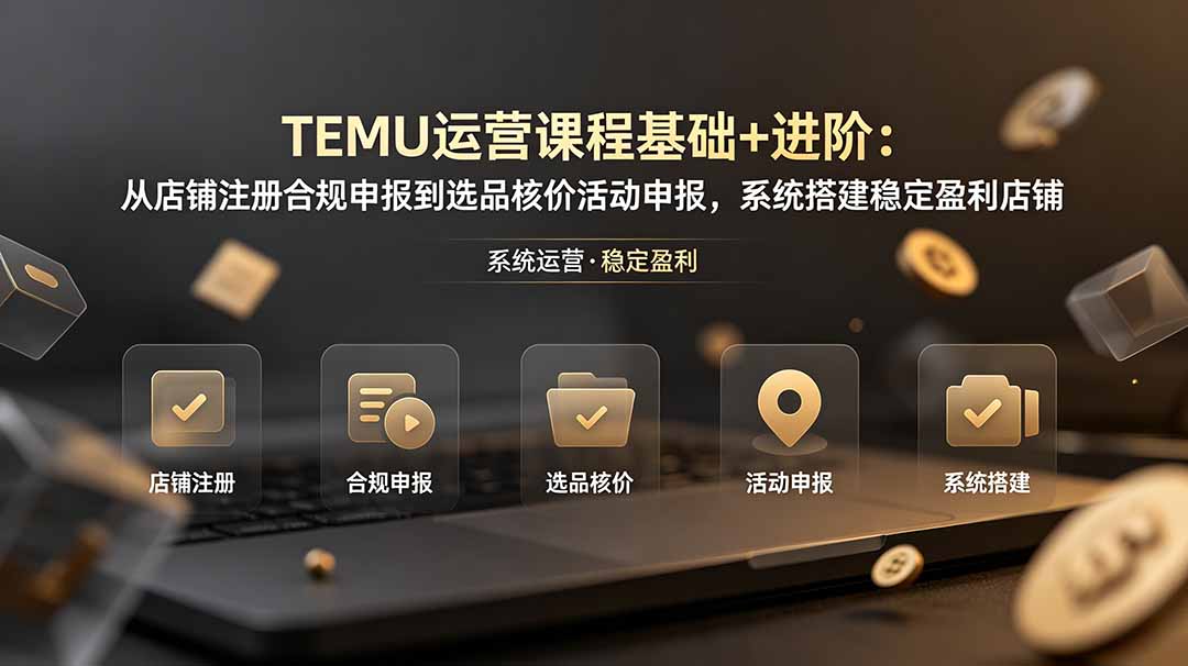 TEMU运营课程(基础+进阶-资源宝库
