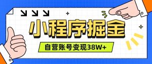 微信小程序掘金，团队自营小程序累计变现38W+，稳定运营三年，一部手机即可操作-资源宝库