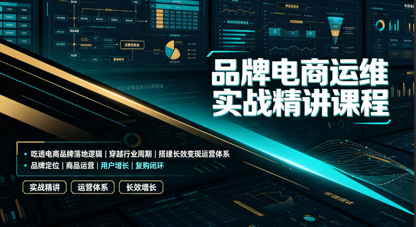 品牌电商运维实战精讲课程|吃透电商品牌落地逻辑、穿越行业周期、搭建长效变现运营体系-资源宝库