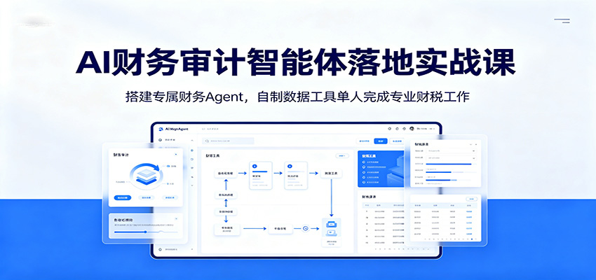 AI财务审计智能体落地实战课：搭建专属财务Agent，自制数据工具单人完成专业财税工作-资源宝库