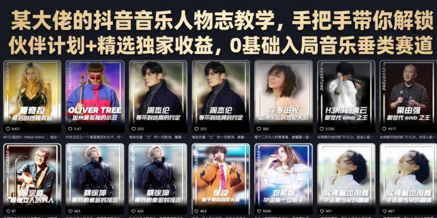 某大佬的抖音音乐人物志教学，手把手带你解锁伙伴计划+精选独家收益，0基础入局音乐垂类赛道-资源宝库