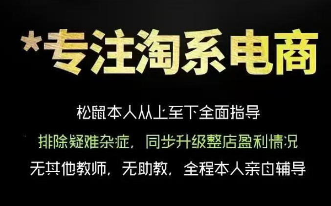 松鼠会电商VIP课程，从基础布局到高阶优化，助你掌握淘宝运营逻辑，提升店铺流量与转化(更新0823)-资源宝库