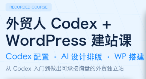 大卫·外贸人Codex + WordPress建站课(更新8月)-资源宝库