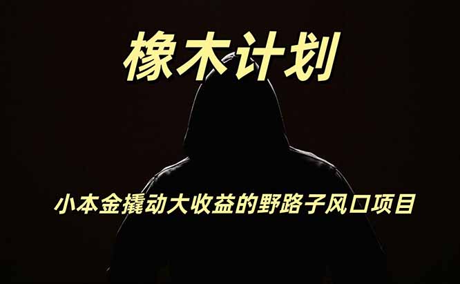 橡木计划，小投入撬动高回报的风口野路子项目，一天投入2小时左右-资源宝库