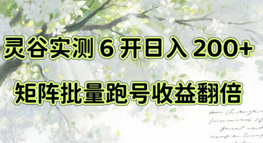 一台电脑就能做！灵谷实测6开日入200+，矩阵批量跑号收益翻倍【揭秘】-资源宝库
