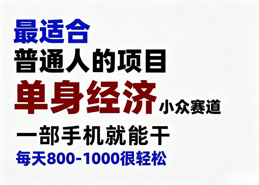 身经济小众赛道,一部手机就能干,每天搞个800-1000很轻松,最适合普通人的项目【揭秘】-资源宝库