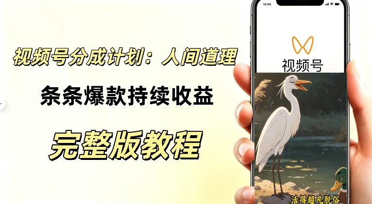 视频号新玩法之AI动漫画风励志视频，不用会画画、不用拍摄，持续化收益，详细拆解-资源宝库