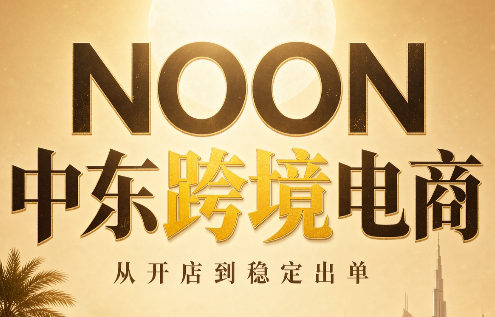 NOON中东跨境电商:从开店到稳定出单(更新2026)-资源宝库
