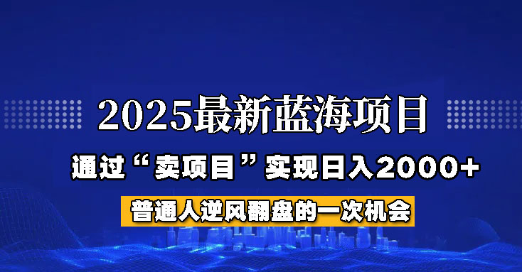 2025年蓝海项目，如何通过“网创项目”日入2000+-资源宝库