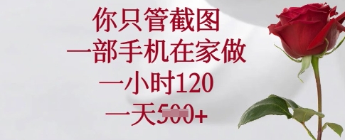 你只管截图,一部手机在家做,一小时120.一天5张【揭秘】