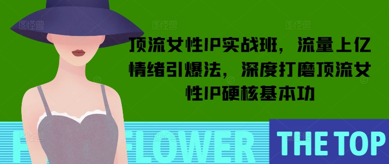 顶流女性IP实战班，流量上亿情绪引爆法，深度打磨顶流女性IP硬核基本功-资源宝库