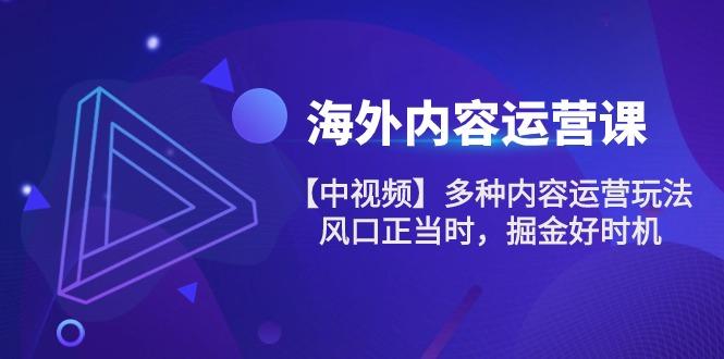 海外内容 运营课【中视频】多种内容运营玩法 风口正当时 掘金好时机-101节-资源宝库