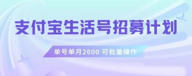 支付宝生活号作者招募计划，单号单月2600，可批量去做，工作室一人一个月轻松1w+【揭秘】-资源宝库