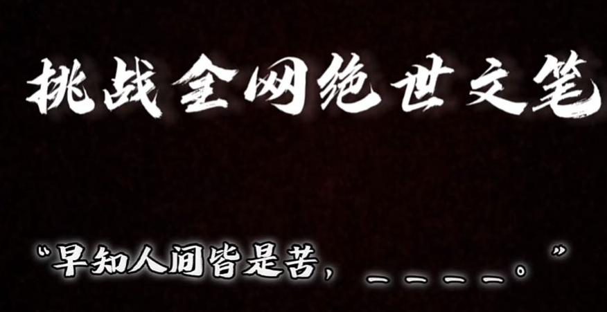 视频号小众玩法，文笔挑战，互动拉满，轻松赚取分成收益！小白也可当天上手-资源宝库