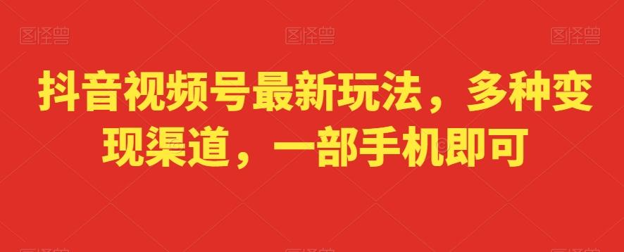 抖音视频号最新玩法，多种变现渠道，一部手机即可-资源宝库