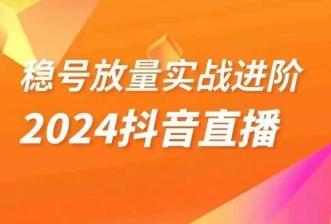 稳号放量实战进阶—2024抖音直播，直播间精细化运营的几大步骤-资源宝库