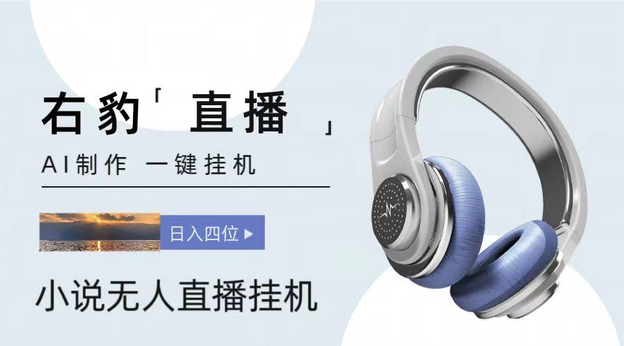 右豹小说无人直播挂机吸金项目,简单易行收益稳定, 月入1000+-资源宝库