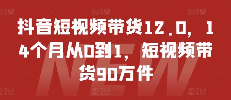 抖音短视频带货12.0，14个月从0到1，短视频带货90万件-资源宝库