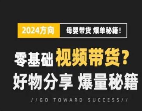 短视频母婴赛道实操流量训练营，零基础视频带货，好物分享，爆量秘籍-资源宝库