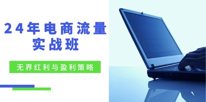 24年电商流量实战班：无界 红利与盈利策略，终极提升/关键词优化/精准…-资源宝库
