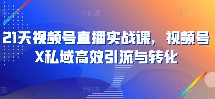 21天视频号直播实战课,视频号X私域高效引流与转化