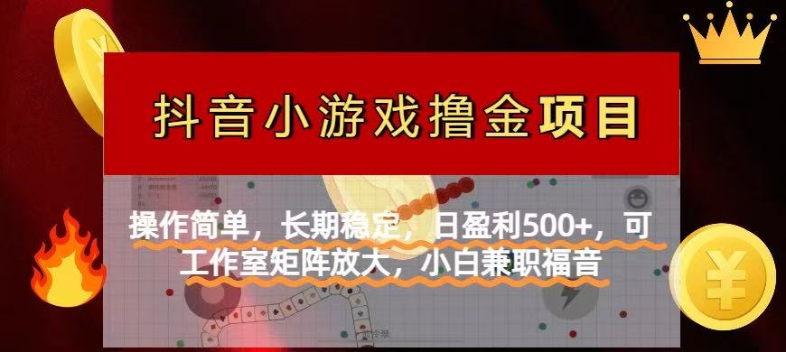 【抖音小游戏发行人计划项目】操作简单，长期稳定，日盈利500+，可工作...-资源宝库