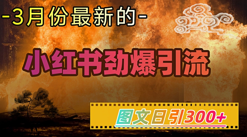小红书超劲爆引流手段，图文日引300+轻松变现1W-资源宝库