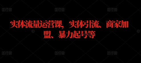 实体流量运营课，实体引流、商家加盟、暴力起号等-资源宝库