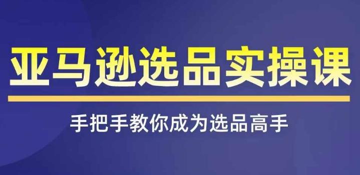 亚马逊选品实操课程，快速掌握亚马逊选品的技巧，覆盖亚马逊选品所有渠道-资源宝库
