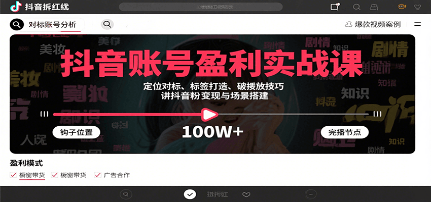 抖音账号盈利实战课，定位对标、标签打造、破播放技巧，讲涨粉变现与场景搭建-资源宝库