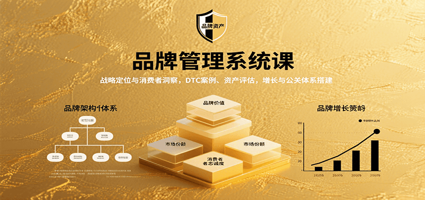 品牌管理系统课：战略定位与消费者洞察，DTC案例、资产评估，增长与公关体系搭建-资源宝库
