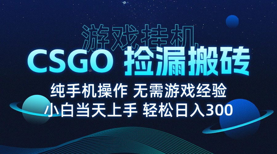 8月最新游戏搬砖，CSGO纯挂机，不需要玩游戏，实现真挂机，月入1W+-资源宝库