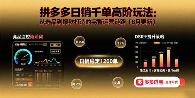 拼多多日销千单高阶玩法：从选品到爆款打造的完整运营链路(8月更新-资源宝库