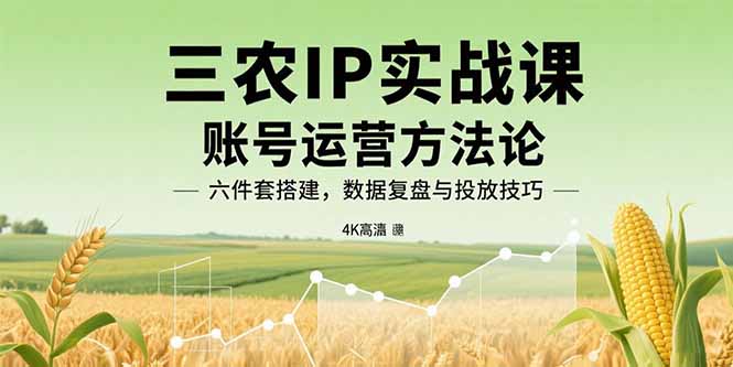 三农IP实战课：账号运营方法论，六件套搭建，数据复盘与投放技巧-资源宝库