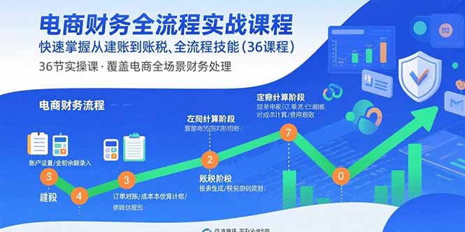 电商财务全流程实战课程：快速掌握从建账到报税的全流程技能(36节课-资源宝库