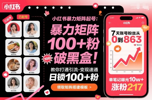 小红书暴力矩阵起号，教你打通引流-变现速通，日锁100+粉，破流量黑盒-资源宝库