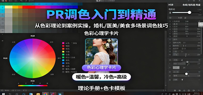 PR调色入门到精通：从色彩理论到案例实操，婚礼/医美/美食多场景调色技巧-资源宝库