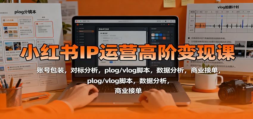 小红书IP运营高阶变现课：账号包装，对标分析，plog/vlog脚本，数据分析，商业接单-资源宝库