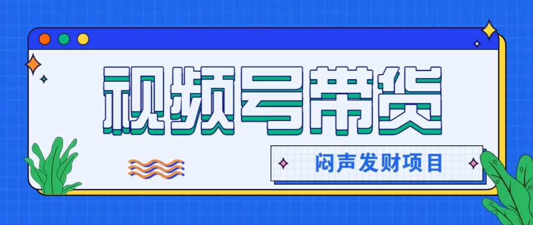微信视频号带货项目，轻松日赚赚2000+，这个挣钱入口很多伙伴都在闷声发财-资源宝库