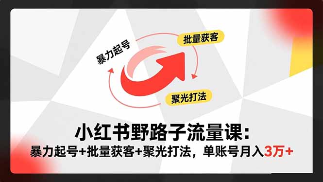 小红书野路子流量课：暴力起号+批量获客+聚光打法，单账号月入3万+-资源宝库