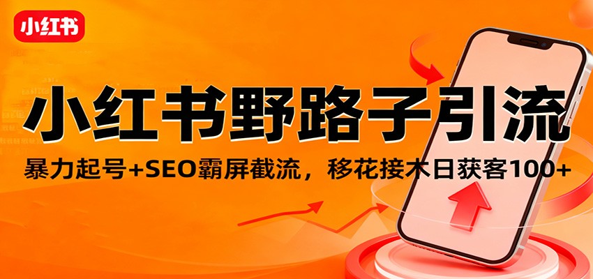 小红书野路子引流，暴力起号+SEO霸屏截流，移花接木日获客100+-资源宝库