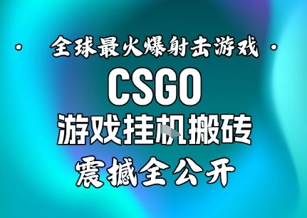 【年底大揭秘】基于全球最火爆的射击CSGO游戏挂G搬砖，日入5张+，震撼公开-资源宝库