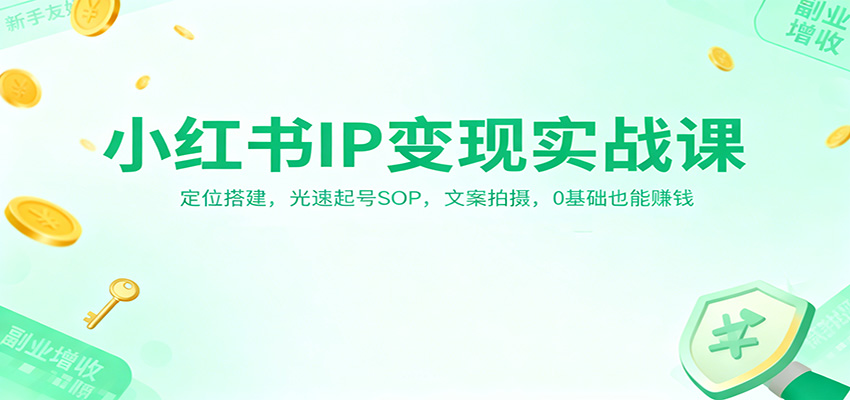 小红书IP变现实战课：定位搭建，光速起号SOP，文案拍摄，0基础也能赚钱-资源宝库